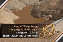 10201830201935847356604