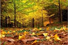 10201829235119897628739