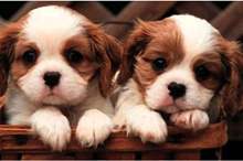 212c9660-6f00-4080-bf79-dbf591bd991d_16x9_1200x676