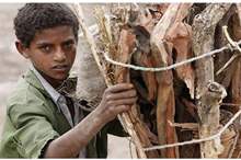 5bb21b7d95a59703778b45d9