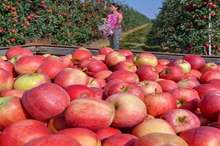 5bb5f153d437503f0b8b4589