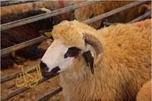 1020182155927940108900