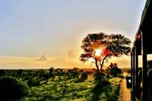 shutterstock_179931302