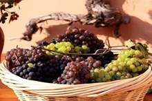 5bb73803d43750696d8b456b