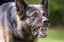 2018810152015121345AM53fd46f027717d87cb3c796df584913f