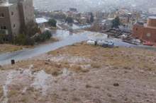 b50ee09dcd0cae10ace99a02ee6594ed