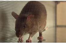 5be456e295a5977a0d8b45b1