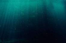 5be553b195a597c44e8b45ac