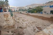 1120181084744579061412