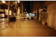 5be424dd95a59746058b457e