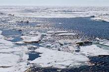 5be427c695a597c6388b4618