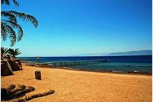 Aqaba-Marine-Park-Tour