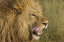 5bd96b37d43750cc228b45b2