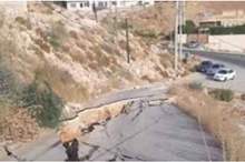 3FfoFjxRLOmHE6qIOJrnAo8tzwiXxhN4odqYrRhs