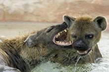 5be55aeb95a5972d618b458b