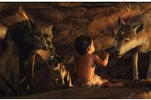 5be59cd1d4375044438b45ed