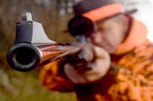 5be5960dd437504c428b45c4