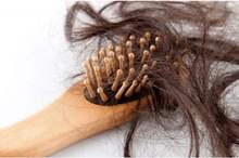 fb940dc5-b0aa-422a-8522-12499e062ecd_16x9_1200x676