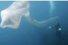 5555555555555555555555555555