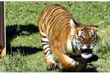 5beaf040d43750fd438b460f