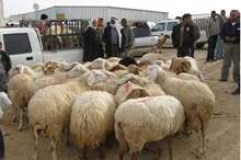 107872_10_1378969174