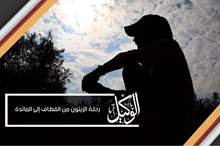 رحلة الزيتون من القطاف إلى المائدة