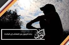 رحلة الزيتون من القطاف إلى المائدة