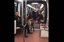 5bec315d95a597440a8b45f4