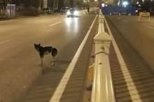 5bebea59d43750481c8b4588