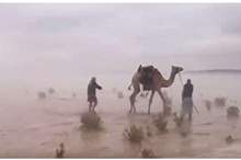 5beea09f95a5979f1a8b462c