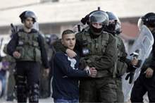 thumb-jpg-48502719194645246