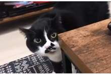 5beebf6495a597606e8b457c