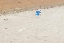 31292737_364336070736401_4512197791119835136_n-1