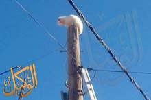 c9ab7d4b-f519-4b1e-a7b7-abbf5089dd30