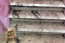 220d289c-d411-446e-8678-1ca897a759c1