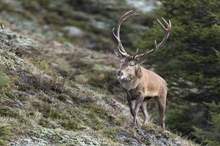 5bf2b31095a597d2188b45e8