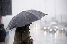 11524b221c4d664888c786fccfde1351