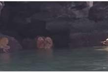 5bf3e17b95a59715798b45cd