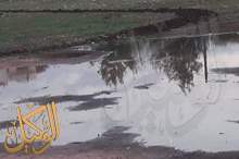 46525871_2010924435660210_7485336387210706944_n