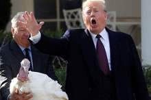 5bf559dc95a597fc068b4592