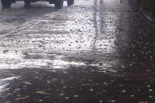 c47d4107784b847e0b9d6cfa6dfc266643