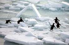 5bf5487dd43750b43e8b45e4