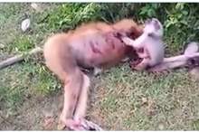 5bf6c67b95a59778798b45c6