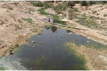 8ee0e495b1150cdf2a6bb0b00eeff0fb (1)