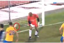 5bfbb84395a5974f508b461d