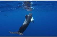 5bfbbc0f95a59742678b45e1