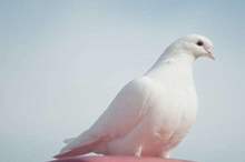 5bfbadc3d43750797a8b45aa