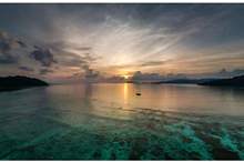 5bfbf51dd437502a248b4631