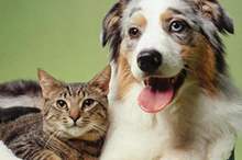 6fb20b90-4c33-4e87-a4e8-6e9a3b865f2a_16x9_1200x676