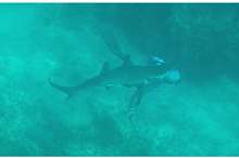 5bfe7ed195a597e2028b4583